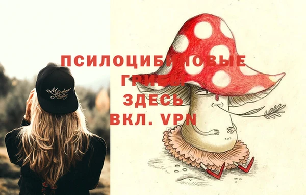прущая мука Пересвет