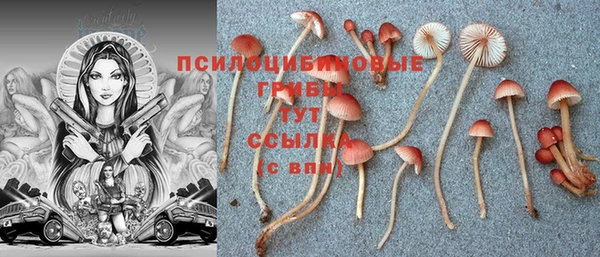 прущая мука Пересвет